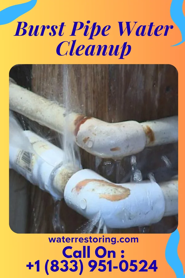 Burst Pipe Water Cleanup in Hilltop, MN