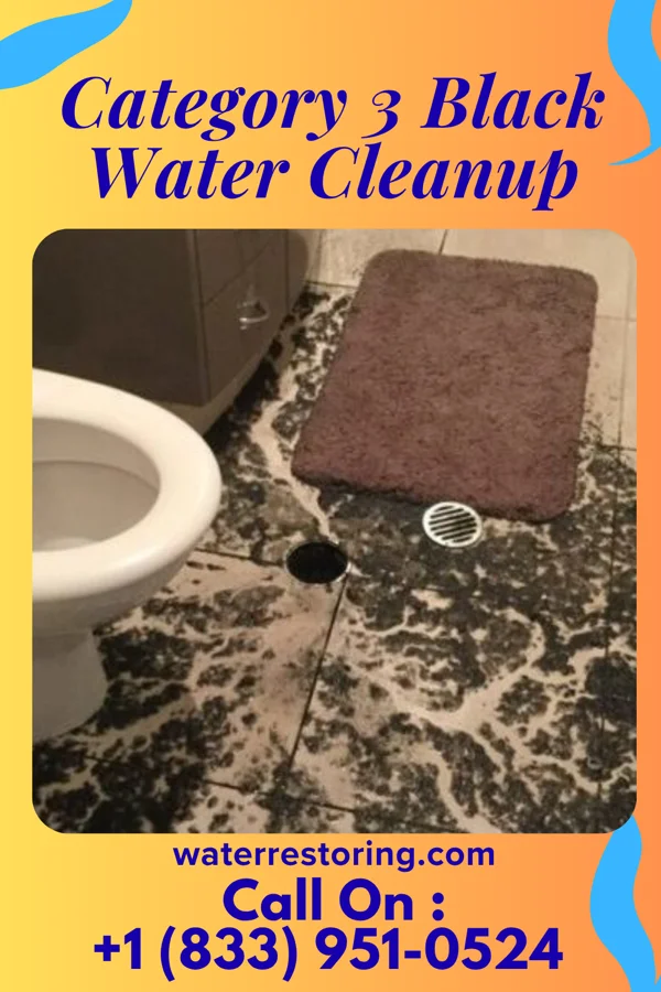Category 3 Black Water Cleanup in Hilltop, MN